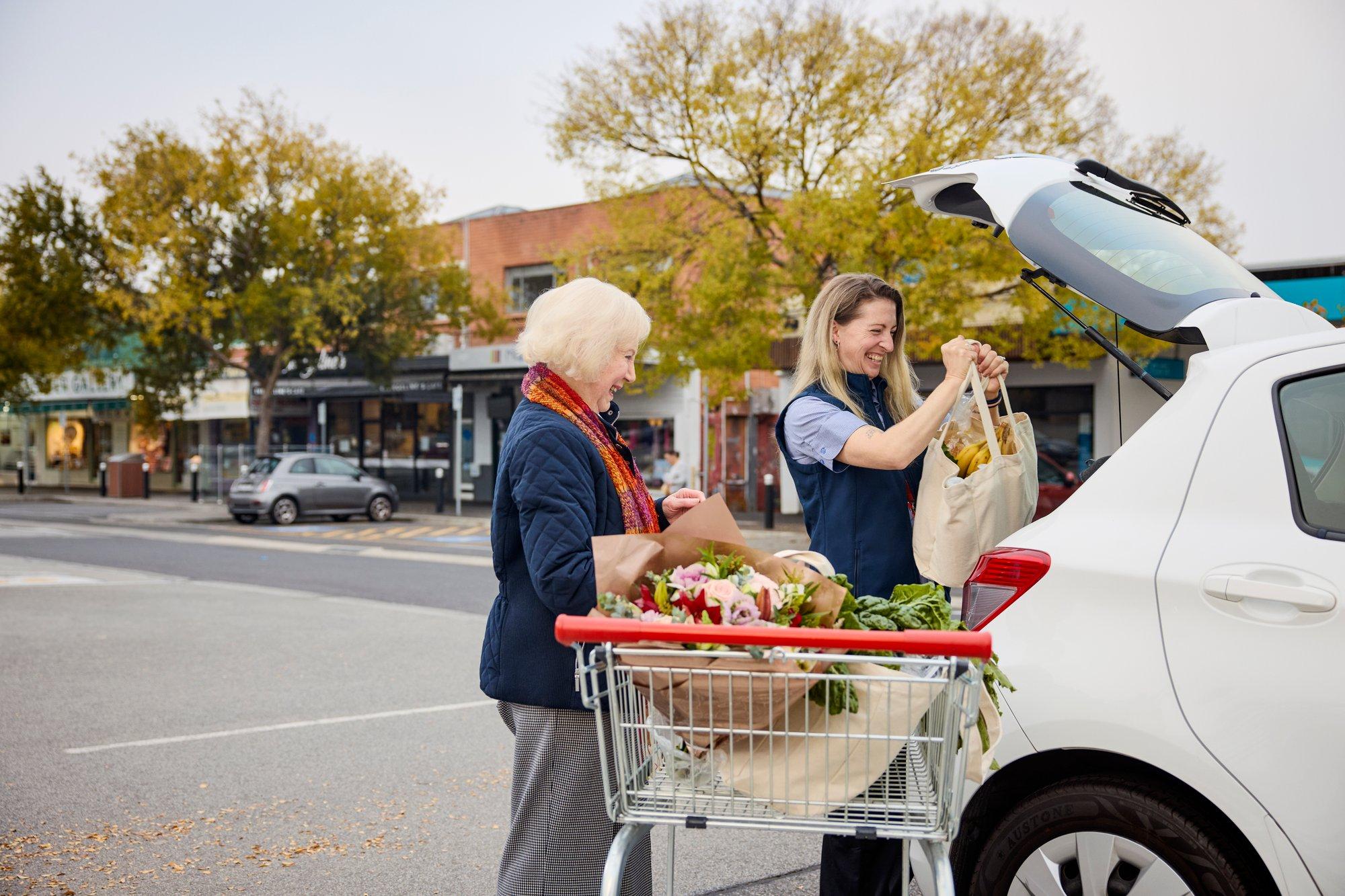 Convenient Shopping Transportation